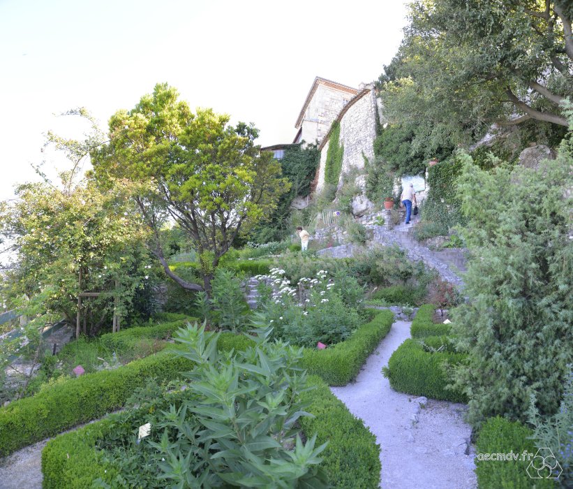 JLP-Tulette_2013_2184