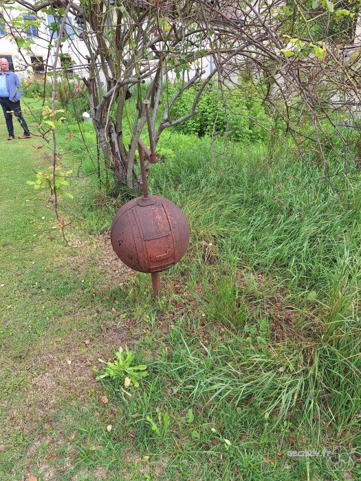 Non, ce n'est pas un cocon de Bombyx