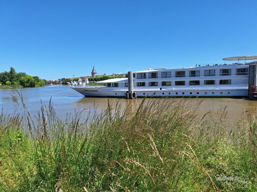 Le Cyrano de Bergerac